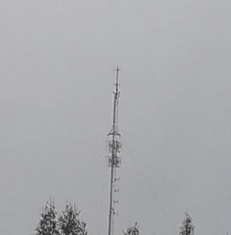 20230923_132020.jpg